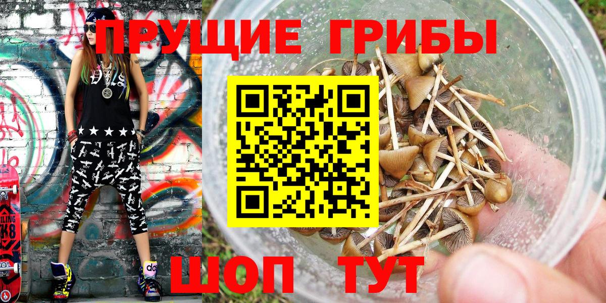 Галлюциногенные грибы Cubensis Железноводск